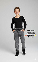 Джоггеры Amz 200-1 grey - делук