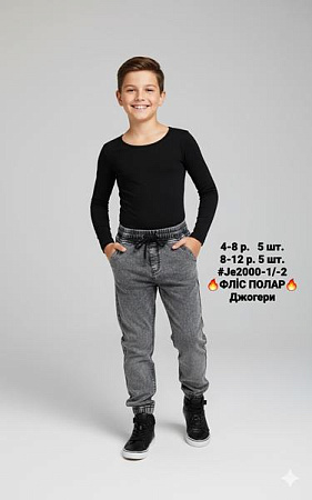 Джоггеры Amz 200-1 grey - делук