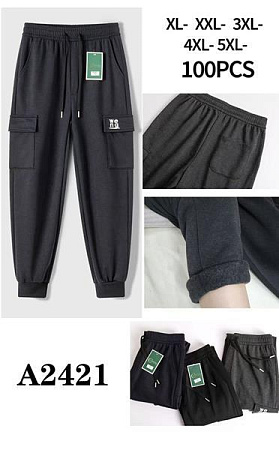 Штаны Спорт Giang A2421  black - делук