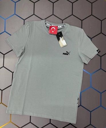 Футболка Alex Clothes 4564 grey - делук