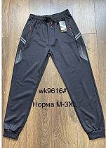 Штаны Спорт Hoan 9616 blue - делук