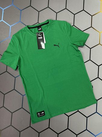 Футболка Alex Clothes 4363 green - делук