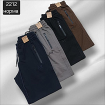 Штаны Спорт Moranny 2212 grey - делук