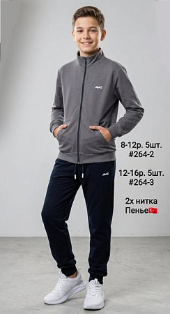 Костюм Спорт Amz 264-3 grey - делук