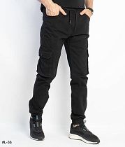 Джоггеры Basanjiu L36 grey - делук