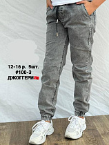 Джоггеры Amz 100-3 grey - делук