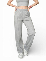 Штаны Спорт Sport Style 10048 grey - делук