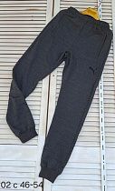Штаны Спорт Sport Style 02 grey Штаны Спорт Sport Style 02 grey - делук
