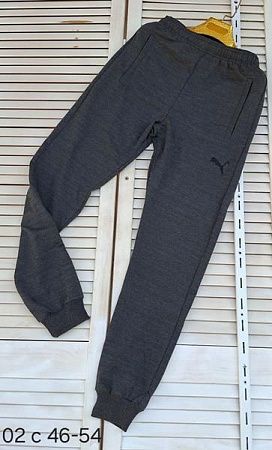 Штаны Спорт Sport Style 02 grey - делук
