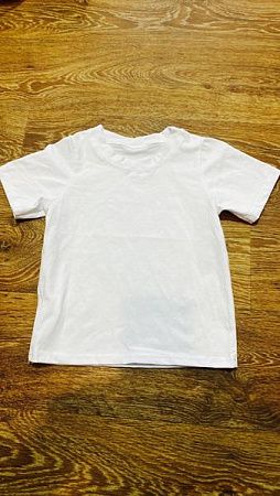 Футболка Proschenko PR267 white - делук
