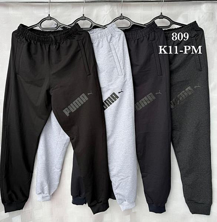 Штаны Спорт Shon K11PM grey - делук