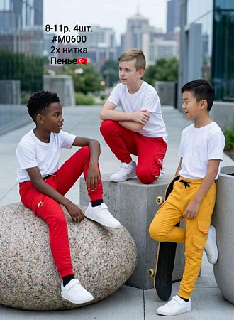 Штаны Спорт Amz M0600 red без надписи - делук