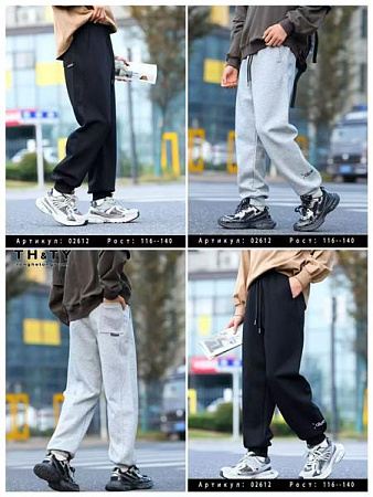 Штаны Спорт Delfinka 02612 grey - делук