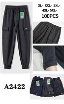Штаны Спорт Giang A2422 black - делук