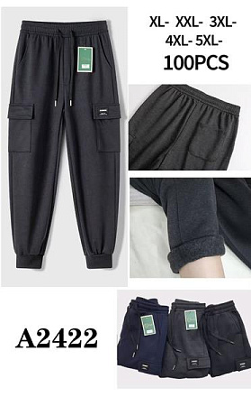 Штаны Спорт Giang A2422 black - делук