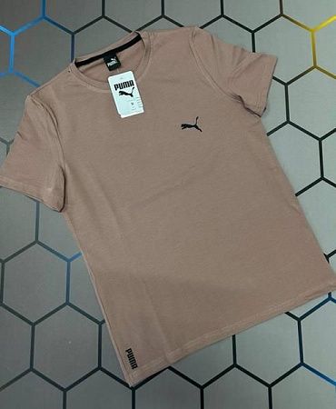 Футболка Alex Clothes 4560 brown - делук