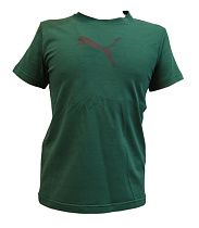 Футболка Sevim SV392 green - делук