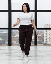 Штаны Спорт Azna Б53 brown - делук