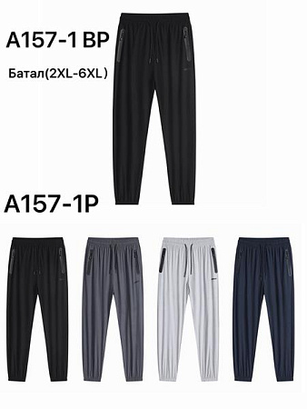 Штаны Спорт Liopt A157-1P black - делук