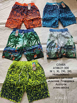 Шорты А186-21 - делук