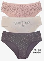 Трусы Disneyopt 4KT166 mix (2XL) - делук