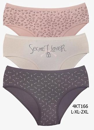 Трусы Disneyopt 4KT166 mix (2XL) - делук