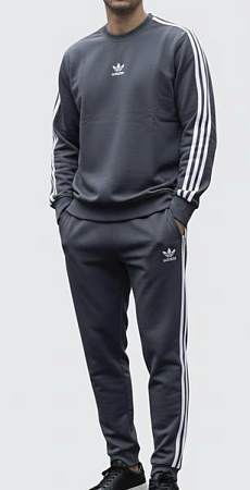 Костюм Спорт Zalov ZW1311 grey - делук