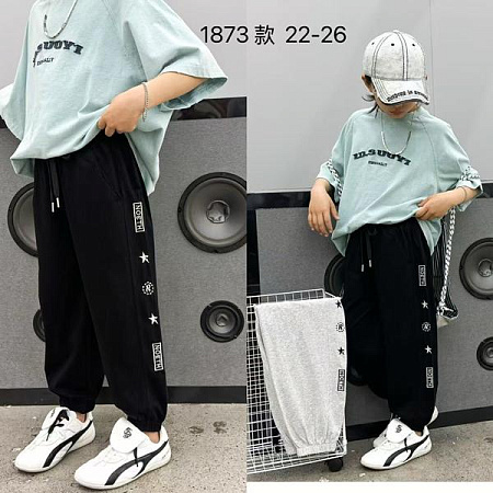 Штаны Спорт Фунтик 1873 l.grey - делук