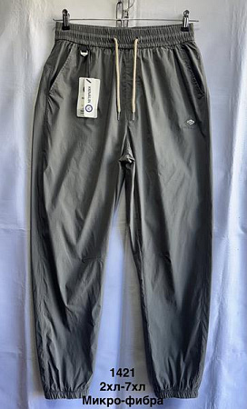 Штаны Спорт Minh 1421 grey - делук