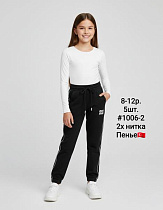 Штаны Спорт Amz 1006-2 black - делук