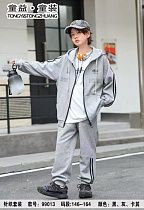 Костюм Спорт Major 99013 grey - делук