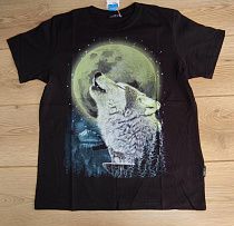 Футболка Emir Kids 266 black - делук