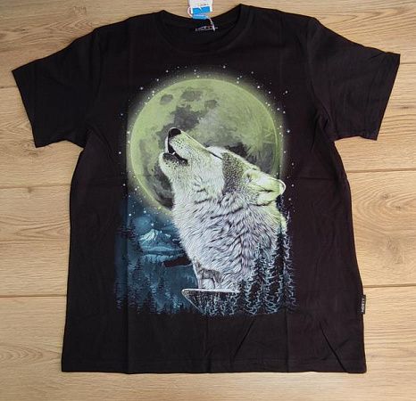 Футболка Emir Kids 266 black - делук