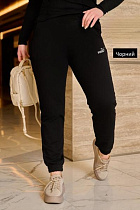 Штаны Спорт Sport Style 100231-1 black - делук