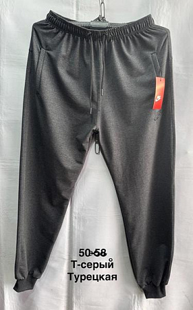 Штаны Спорт Minh MH1159 grey - делук