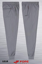 Штаны Спорт Azt AZ1066 grey - делук
