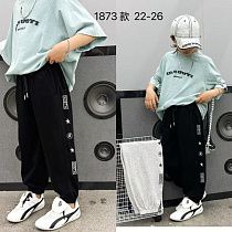 Штаны Спорт Фунтик 1873 grey - делук
