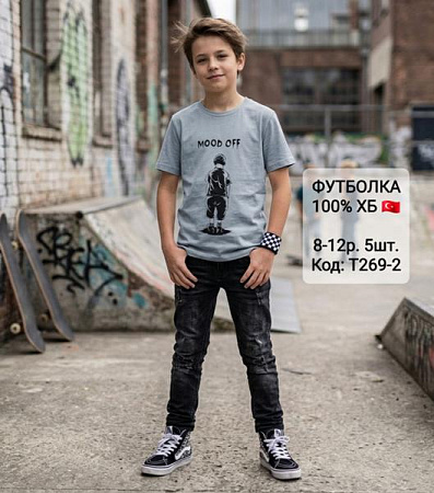 Футболка Amz T269-2 grey - делук