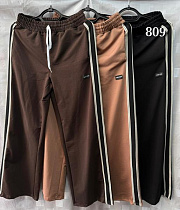 Штаны Спорт Shon S2018 beige - делук