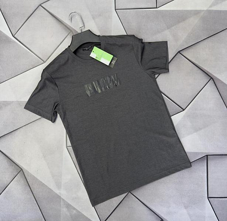 Футболка Rassul 66502 grey - делук