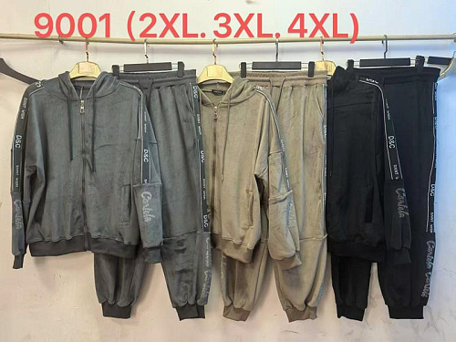 Костюм Спорт Saint Wish 9001 grey - делук