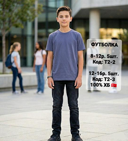 Футболка Ibambino T2-2 grey - делук