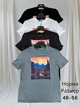 Футболка Hai H1457 l.grey - делук