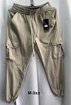 Штаны Спорт Minh 3002 beige - делук