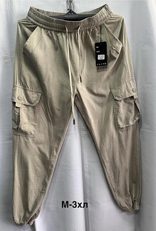 Штаны Спорт Minh 3002 beige - делук