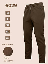 Штаны Спорт 2Bro 6029 brown - делук