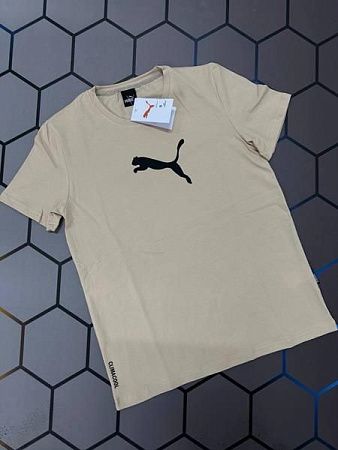 Футболка Alex Clothes 4526 beige - делук