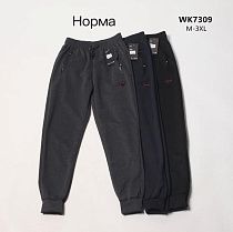 Штаны Спорт Hoan WK7309 grey - делук