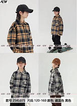 Рубашка Delfinka 075 grey - делук