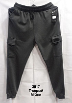 Штаны Спорт Minh 2817 grey - делук